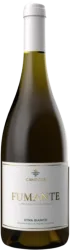 Camporè  Etna Bianco DOC Fumante - 2024  - Sizilien, Italien