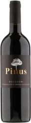 Pinus Bolgheri Rosso - 2024 - Toskana, Italien