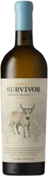 Survivor Wines  Reserve Chenin Blanc - 2022  - Breede River Valley, Südafrika