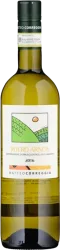 Roero Arneis DOCG Matteo Correggia - 2025 - Piemont, Italien