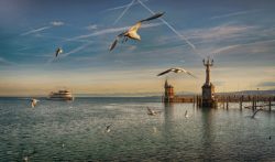 Dini Chance GmbH, DEUTSCHLAND, 3 Tage Familienurlaub im AQUA Hotel in Konstanz am Bodensee erleben, Reisen, Reiseschein, Reisescheine, Reisegutschein, Reisegutscheine, Hotelgutschein, Hotelgutscheine, Urlaubsgutschein, Urlaubsgutscheine, Kurzurlaub, 