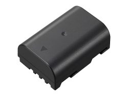 Kamera-Akku Panasonic DMW-BLF19, DMW-BLF19E, DMW-BLF19PP 7.2 V 1860 mAh DMWBLF19E