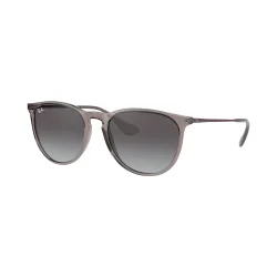 Ray Ban Rb4171 6513/8g 54 Erika | Sonnenbrillen