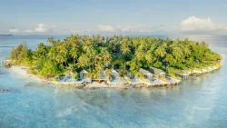 Malahini Kuda Bandos