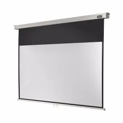 celexon Leinwand Rollo Professional 220 x 124 cm - 99