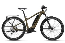 FLYER Goroc2 2.10 29' E-Bike schlamm