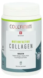 Collamin Motion'Active (Ch) Ds 450 g