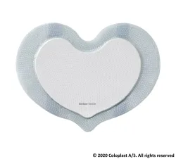 Biatain Silicone Sacral Schaumverband 15x19cm 5 Stk