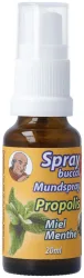 Bioligo Spray buccal Père Michel Propolis/Menthe-Oligoéléments-Huiles essentielles 20 ml