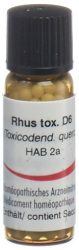 Omida Rhus toxicodendron Glob D 6 2 g