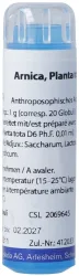Weleda Arnica Planta tota Glob D 6 4 g