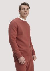 hessnatur Herren Sweatshirt Regular BETTERRECYCLING aus Bio-Baumwolle - braun GrösseXXL