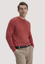 hessnatur Herren Strick Pullover Regular aus Bio-Baumwolle - braun GrösseS