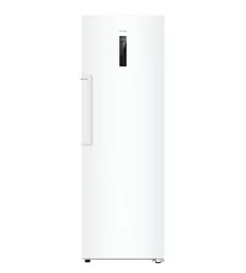 HAIER Gefrierschrank H4F272WDH1 276L No Frost
