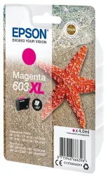 Epson E603XLM Druckerpatronen XL m - Epson No. 603XLM, C13T03A34010 für z.B. Epson Expression Home XP -2100, Epson Expression Home XP -2105