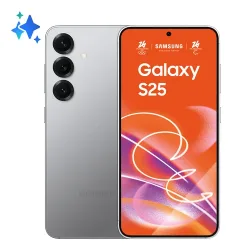 Samsung Galaxy S25 (512GB, Silver Shadow)