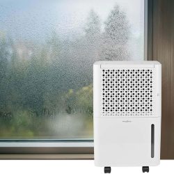 Elektrischer Luftentfeuchter mit Luftfilter mit 4 Modi und Timer, 10l/Tag, bis 38 m³