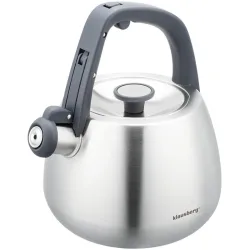 Edelstahl-Wasserkessel mit schwarzen Griffen, 2,5 l