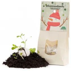 Schneemannbäuche: 8 Samenbomben, 19 Wildblumen-Saatgut