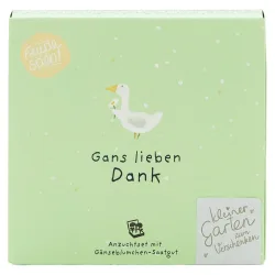 Gänseblümchen-Pflanzset 