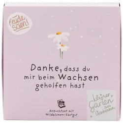 Wiesen-Margeriten Pflanzset 