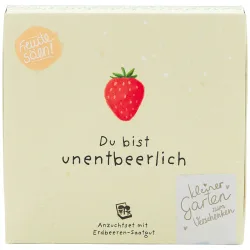 Erdbeeren-Saatgut-Set 
