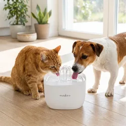 Trinkbrunnen für Katzen und Hunde, 2L, weiss