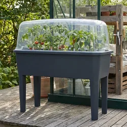 Gewächshaus mit Abdeckung & Beinen, 52L, anthrazit
