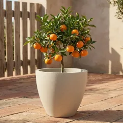 Pflanzkübel 86L aus Kunststoff, Ø58cm, sand