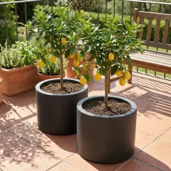 2er-Set Blumentopf 40L aus Kunststoff, Ø47cm, anthrazit