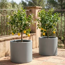 2er-Set Blumentopf 40L aus Kunststoff, Ø47cm, beton-grau