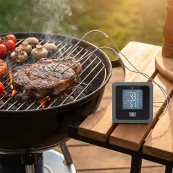 Bluetooth Fleischthermometer für BBQ & Ofen, 2 Sonden, 7,5 x 3,2 x 7,5 cm, grau