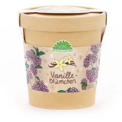 Vanilleblume Anzuchtset im Becher
