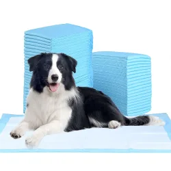 Trainingspads 20 Stück für Hunde, 5-lagig, auslaufsicher, 60 x 90 cm