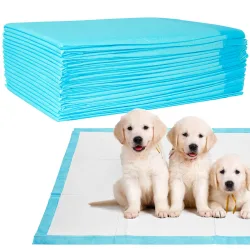 Trainingspads 100 Stück für Hunde, Welpenunterlage, 5-lagig, auslaufsicher, 60 x 60 cm