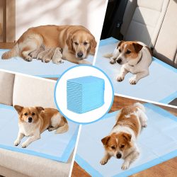 Trainingspads 500 Stück für Hunde, Welpenunterlage, 5-lagig, auslaufsicher, 60 x 90 cm