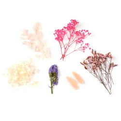 Set aus natürlichen Trockenblumen, rosa, 30 g