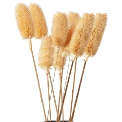 2er-Set Trockenblumen weisse Disteln mit je 5 Zweigen, Blumen Dekoration, je 70 cm