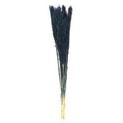 Pampasgras im 10er-Bund, Trockenblumen Deko in Vasen oder Gestecken, dunkelblau, 75 cm