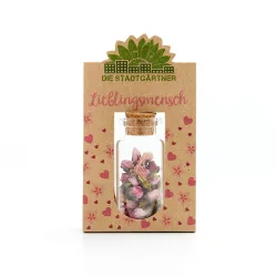 Geschenk Lieblingsmensch Blüten im Glas mit Korkverschluss, Blüten zum Verschenken