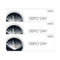Dispo Day - 90 Tageslinsen