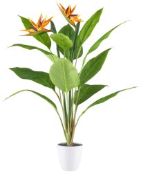 Gasper Kunstpflanzen Strelitzia im Kunststofftopf H: 80 cm  | Schubiger Möbel