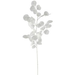 Gasper Kunstblume Eukalyptuszweig, Weiss  | Schubiger Möbel
