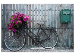 image LAND Bild mit Rahmen Fahrrad mit Blumendeko  | Schubiger Möbel