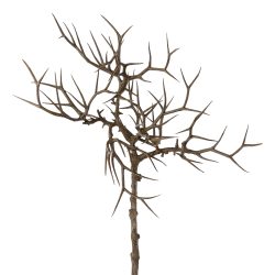 Gasper Kunstblumen Dornenzweig, Natur H: 45 cm  | Schubiger Möbel