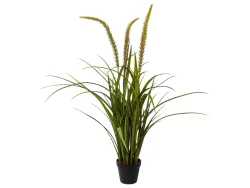 Gasper Kunstpflanze Miscanthus im Topf  | Schubiger Möbel