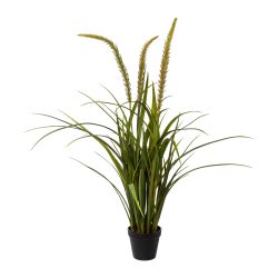 Gasper Kunstpflanze Miscanthus im Topf  | Schubiger Möbel
