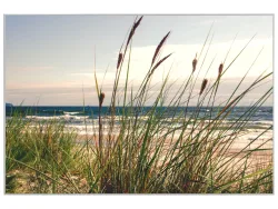 image LAND Bild mit Rahmen Seegras  | Schubiger Möbel