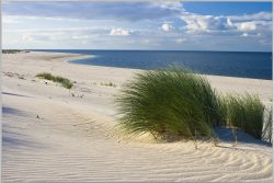 image LAND Bild mit Rahmen Strand mit Dünengras  | Schubiger Möbel