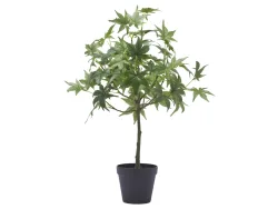 Edg Kunstpflanze Ahornbaum H: 56 cm  | Schubiger Möbel